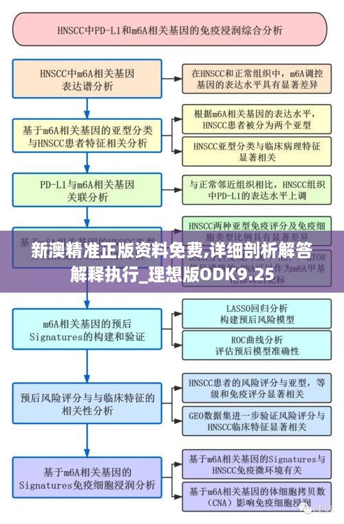 新澳精准正版资料免费,详细剖析解答解释执行_理想版ODK9.25