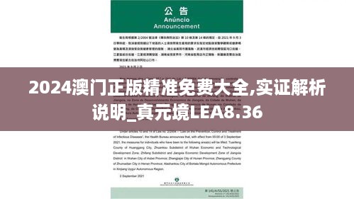 maomeiruhua 第20页