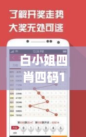 白小姐四肖四码100%准,创意解答解释落实_炼气境AJW5.25