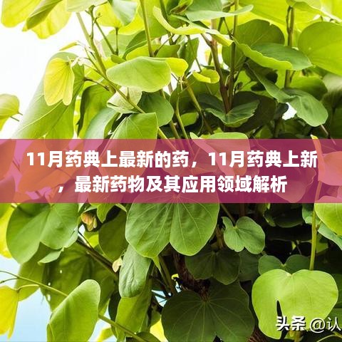 风驰电掣 第25页