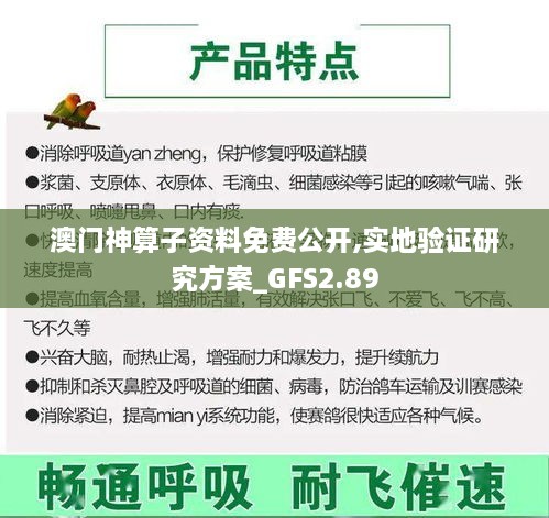 澳门神算子资料免费公开,实地验证研究方案_GFS2.89