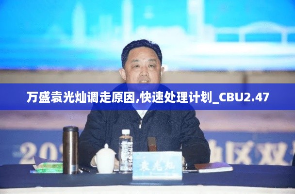 fabuegui 第17页