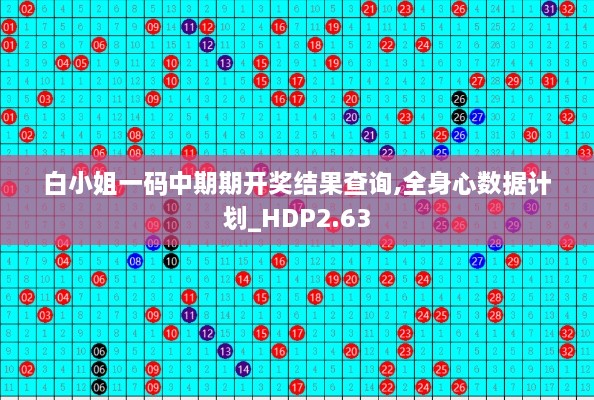 白小姐一码中期期开奖结果查询,全身心数据计划_HDP2.63