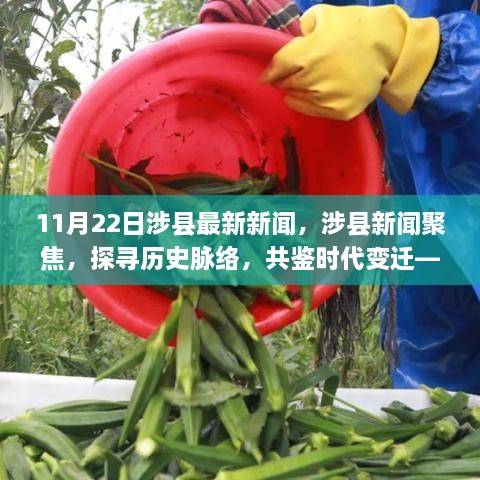 文质彬彬 第24页