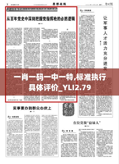 一肖一码一中一特,标准执行具体评价_YLI2.79