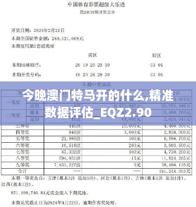 今晚澳门特马开的什么,精准数据评估_EQZ2.90