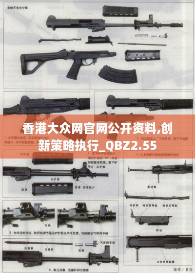 yangchunbaixue 第17页