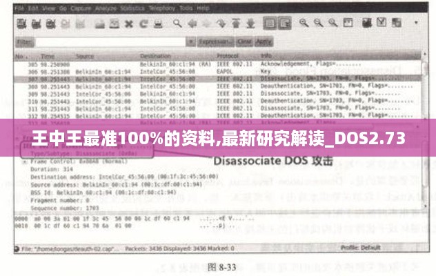 王中王最准100%的资料,最新研究解读_DOS2.73