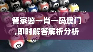 管家婆一肖一码澳门,即时解答解析分析_管理版CZX2.7
