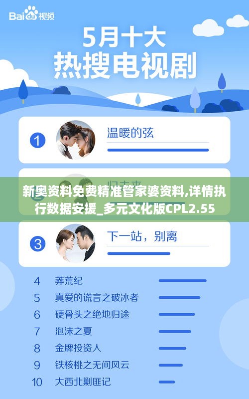 新奥资料免费精准管家婆资料,详情执行数据安援_多元文化版CPL2.55