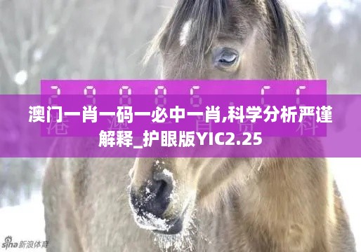yibuyedi 第15页