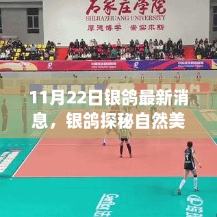 虎视眈眈 第20页