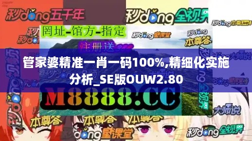 管家婆精准一肖一码100%,精细化实施分析_SE版OUW2.80