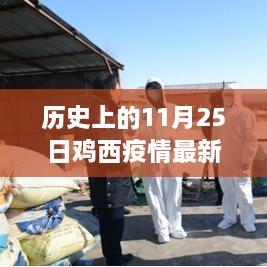 历史上的11月25日鸡西疫情最新进展深度解析，影响与启示