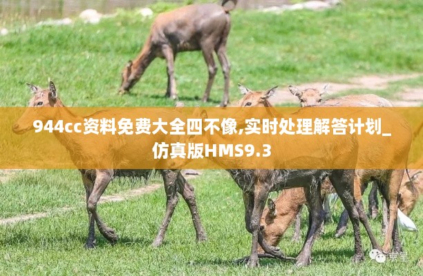 biannucejian 第13页
