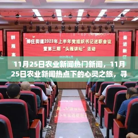 九死一生 第17页