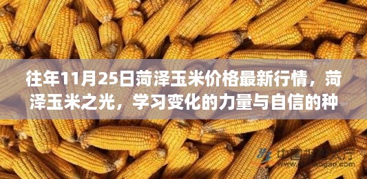 废寝忘食 第17页