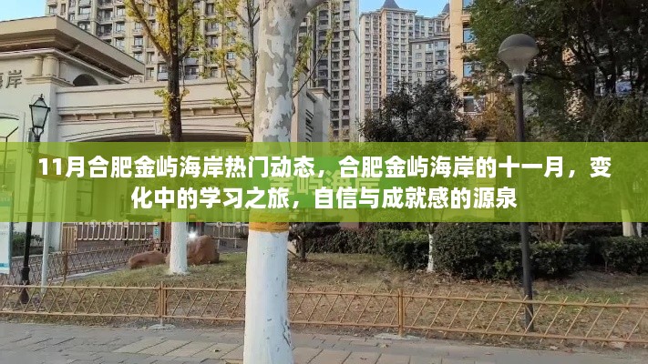 合肥金屿海岸十一月动态，学习之旅中的变化与成就感的源泉