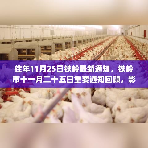 初告白 第17页