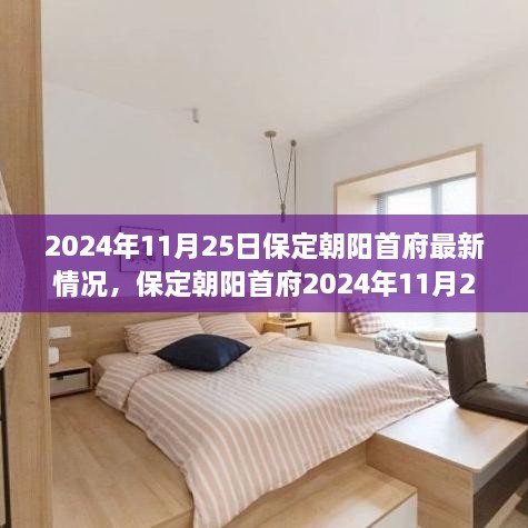 保定朝阳首府最新评测报告，特性、体验与目标用户分析（2024年11月25日）