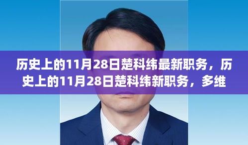 多维视角下的楚科纬职务变动解析，历史上的11月28日新职务揭秘