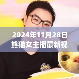 熊猫女主播最新视频发布，深度解读熊猫直播背后的故事与未来展望（2024年11月28日）