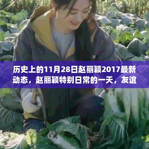 走马观花 第16页