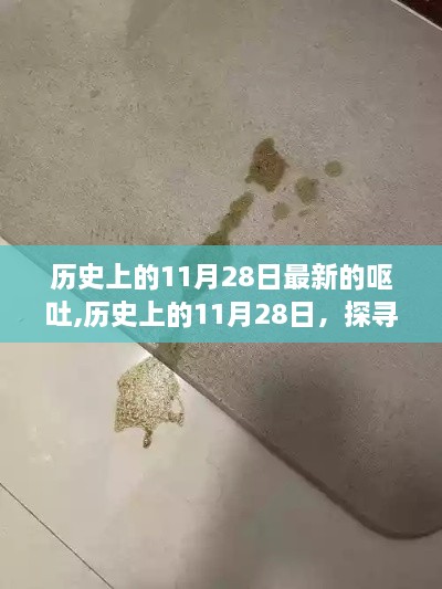 chiyulongniao 第13页