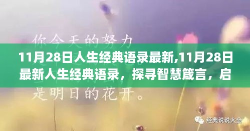 探寻智慧箴言，最新人生经典语录启迪人生旅程（11月28日版）