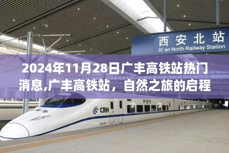 容光焕发 第14页