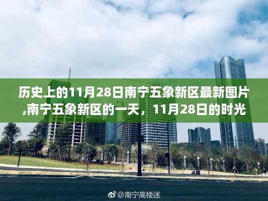 shencaifeiyang 第15页