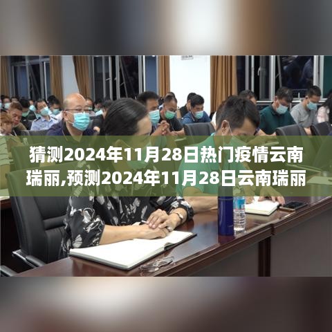 2024年11月28日云南瑞丽疫情热点预测与分析
