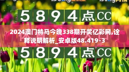 2024澳门特马今晚338期开奖亿彩网,诠释说明解析_安卓版48.419-3
