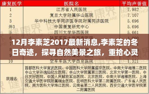 chenyuluoyan 第13页