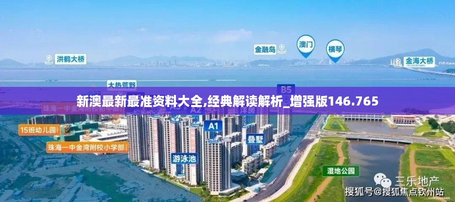 新澳最新最准资料大全,经典解读解析_增强版146.765