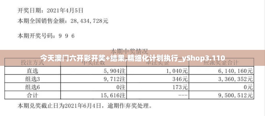 今天澳门六开彩开奖+结果,精细化计划执行_yShop3.110