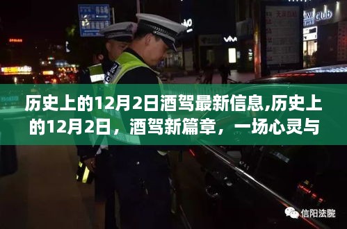 pomazhangfei 第11页