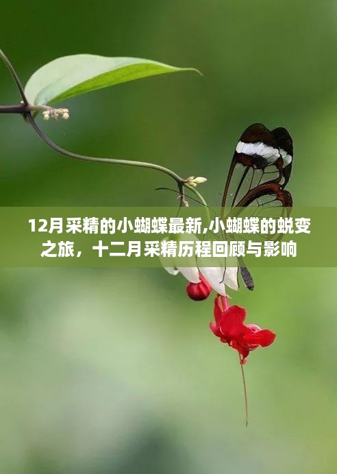guiyinjianbi 第11页