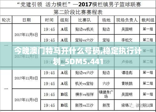 今晚澳门特马开什么号码,稳定执行计划_5DM5.441