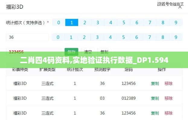 二肖四4码资料,实地验证执行数据_DP1.594