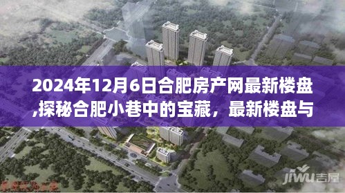 合肥房产网最新楼盘