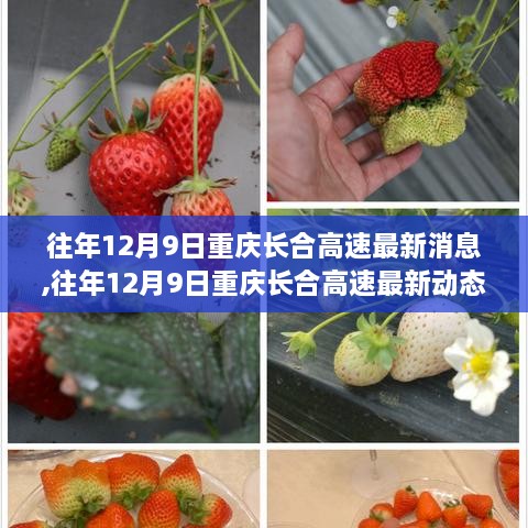 星星打烊 第9页