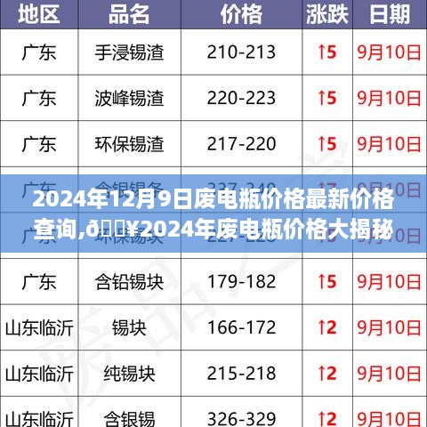 ermubise 第9页