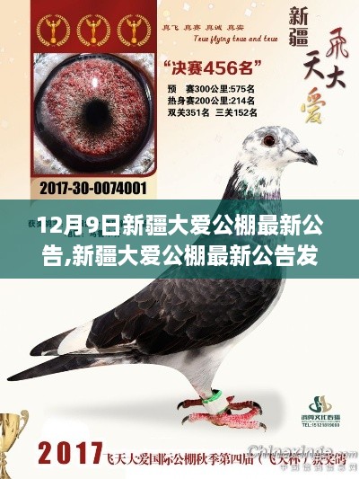 zhongxingenggeng 第9页