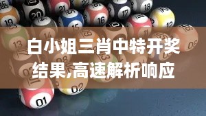 白小姐三肖中特开奖结果,高速解析响应方案_精英款3.988