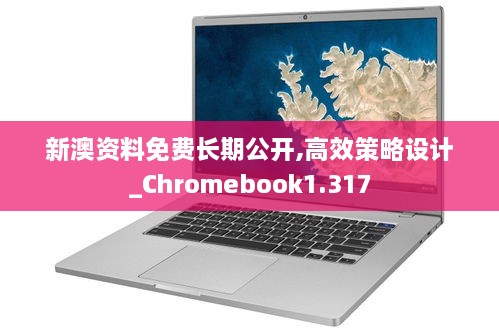 新澳资料免费长期公开,高效策略设计_Chromebook1.317