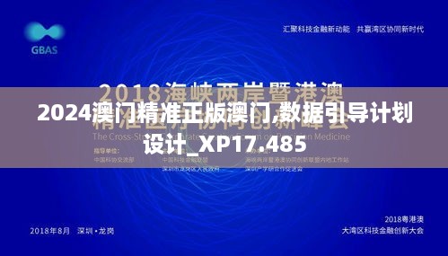 2024澳门精准正版澳门,数据引导计划设计_XP17.485