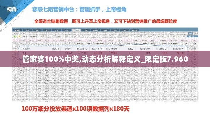 管家婆100%中奖,动态分析解释定义_限定版7.960