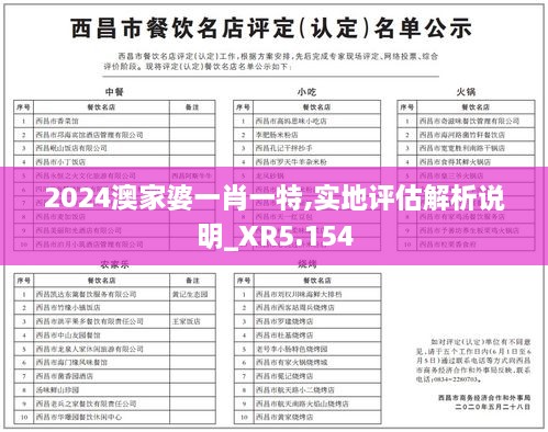 2024澳家婆一肖一特,实地评估解析说明_XR5.154