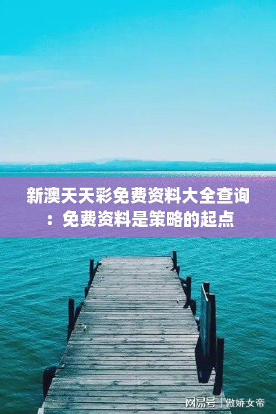 新澳天天彩免费资料大全查询：免费资料是策略的起点